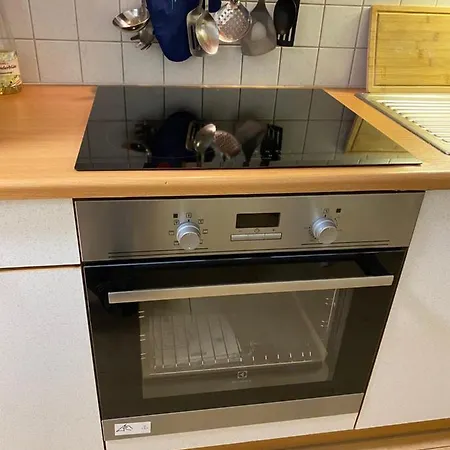 شقة Dachsteinblick *