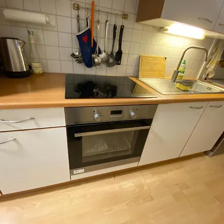شقة Dachsteinblick *