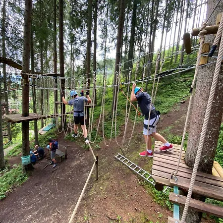 Dachsteinblick 公寓