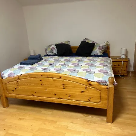 Dachsteinblick * 拉姆绍达赫斯坦