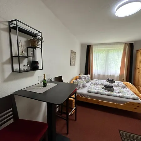 Dachsteinblick Apartment