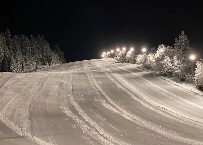 Apartament Dachsteinblick